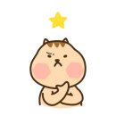 도톨그루밍 이미지