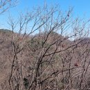 선산수산 Daum카페