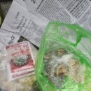 노다지수산 이미지