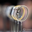스키비