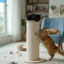 감와 | 고양이 수직 스크래쳐 고를 때 중요한 기준, 가또블랑코 통큰 스크래쳐 사용 후기