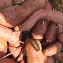 병진농장 이미지