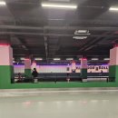 헐리우드롤러클럽 네이버블로그