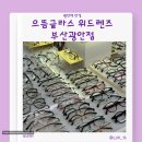 으뜸글라스 위드렌즈 | 으뜸글라스 위드렌즈 부산광안점 위드렌즈 부산 광안점 시티팝 브라운컬러렌즈 이뻐요.