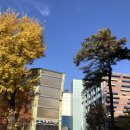 서울특별시교육청도봉도서관(종합자료실) 이미지