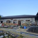 달맞이 흑두부 이미지