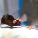 뉴런테크 이미지