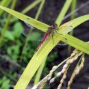 정다운마을 이미지