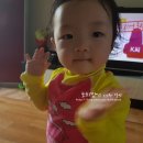 퍼니테일 이미지
