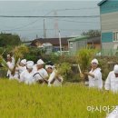 용전 이미지