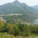 오렌지꽃향기는바람에날리고민박 이미지