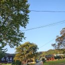 수의동강촌 이미지