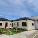 하도리 동동동 이미지