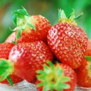 고창아시아마트 이미지