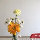 카페도리로