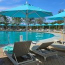 A Spirit of Journey(에이 스피릿 오브 저니) 이미지