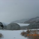 중고 비닐하우스용 파이프 및 부속 판매(전북 남원 운봉 주촌리) 판매완료되었습니다. 이미지