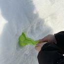 (주)마켓오지상 | [삿포로 워홀] 을 마치며 . . . .