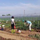 팔현농장 이미지