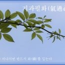 교훈글-기과필화(氣過必禍) 이미지