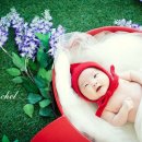 아이첼스튜디오 이미지