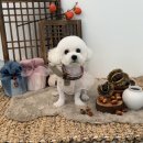 위드뚜뚜 이미지