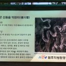 포도원 민박 이미지