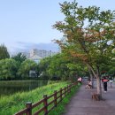 8월 문화가있는날 <국악민요> 이미지