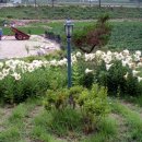 나무집 펜션 이미지