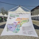 [그릇4] 2025 이천도자기축제 토요일 다녀온 후기