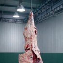 성원식육점 이미지