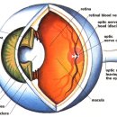 우안산업 이미지