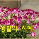 꼭 필요한 생활상식,유익한 생활정보 이미지