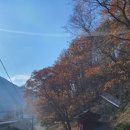 늑구1리마을회관 이미지