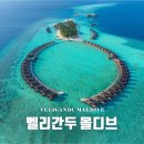 [Step 4. 신혼여행] 몰디브 벨리간두 4박 팜투어 계약후기