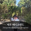 3983 | 제주 동부 8살 아이와 가볼만한 곳, 메이즈랜드 찐 후기
