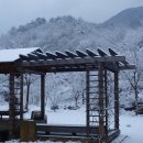 나무테크 이미지