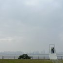 오팔팔풍천장어 이미지