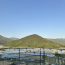 스테이삼랑 | 밀양 감성 숙소 스테이삼랑 3호 별채 후기