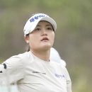 에이스렌터카 이미지