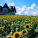 고사리민박 이미지