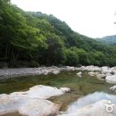 (주)뉴한국관광 이미지