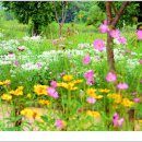 호수공원7로 이미지