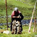 시골정취 이미지