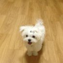 봄내병원 이미지