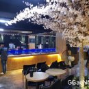 플레이낚시카페(창원점) 네이버블로그