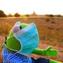 신기초등학교1 이미지