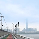 신동초교 | 트폴동 한강라이딩 벙개 후기~*