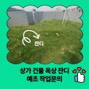 상가 건물 옥상 잔디 예초 작업 문의