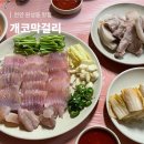 천안 홍어 맛집 입문자 추천 원성동 노포 맛집 개코막걸리 내돈내산